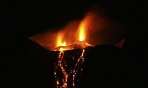 1.2599403.1242891728