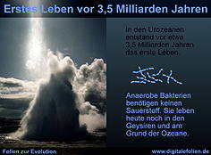 3,5 yıl önce ilk okyanusta yaşamın ön belirtileri. Anerobal bakteriler yaşam için oksijene ihtiyaç duymazlar. Bu bakteriler günümüzde de geysirlerde ve okyanus diplerinde yaşamaktadırlar.
