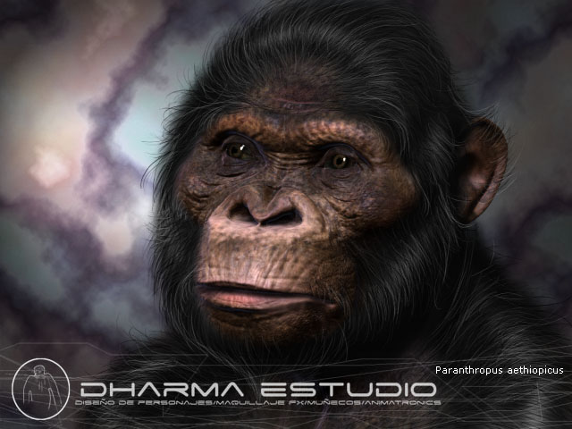 Paranthropus aethiopicus Paranthropus aethiopicus