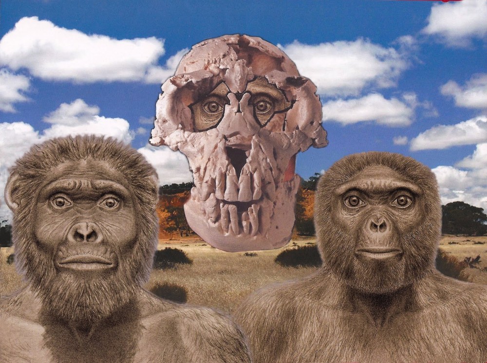 Ardipithecus Ramidus