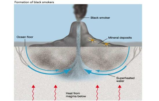 blacksmoker_550x3501