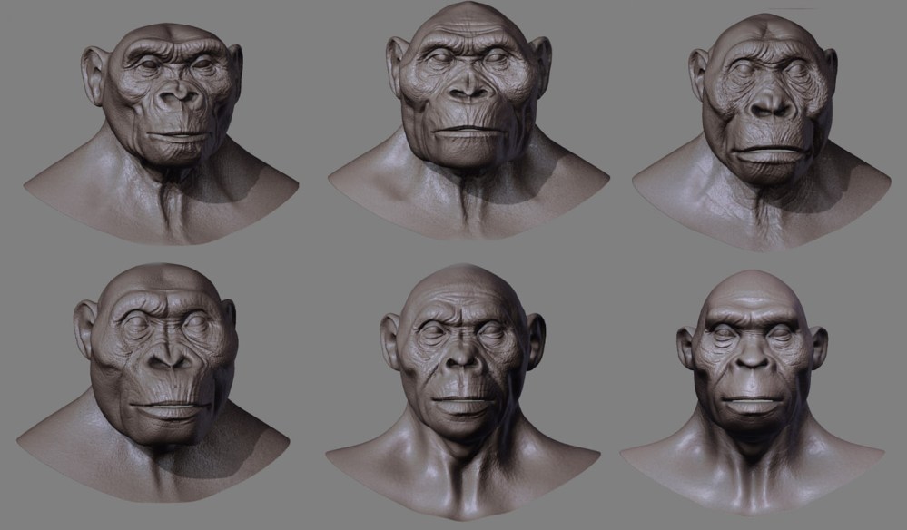 Karşılaştırmalı Hominid görüntüleri Karşılaştırmalı Hominid görüntüleri