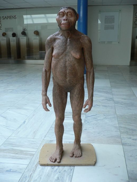 Lucy'in canlandırması.jpg