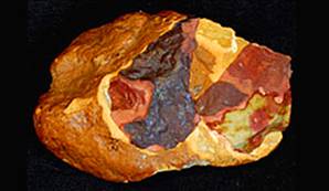 Pişirilmiş Alet Pişirilmiş Alet