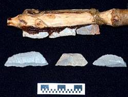 Pişirilmiş Alet 2 Pişirilmiş Alet 2