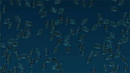 Materyaller ve Moleküller Çorbası