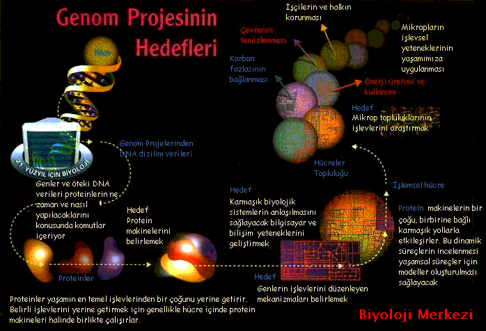 Genom Projesinin Hedefleri