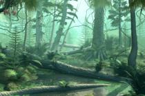 Kara bitkilerinin evrimi