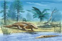 Sürüngenlerin evrimi