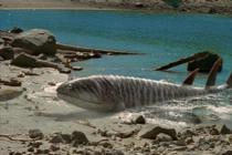 Sudan karaya geçiş