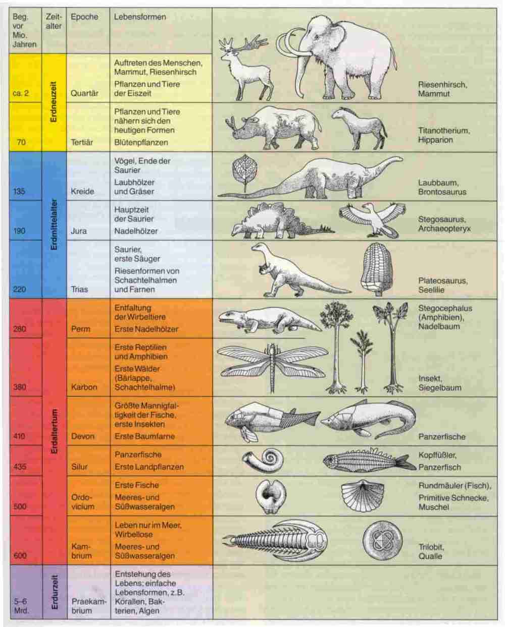 Zeittafel zur Evolution
