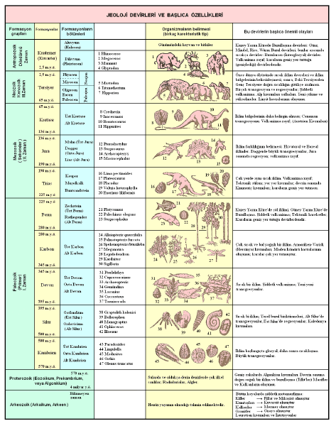 JEOLOJİK DEVİRLER VE BAŞLICA ÖZELLİKLERİ JEOLOJİK DEVİRLER ÇETVELİ