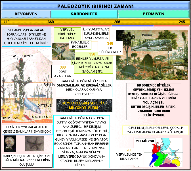 Paleozoyik 2 Paleozoyik 2