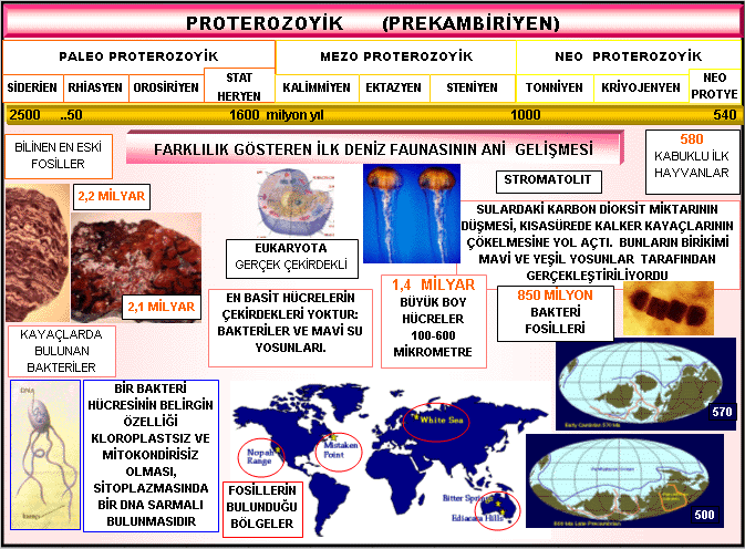 Proterozoyik Proterozoyik
