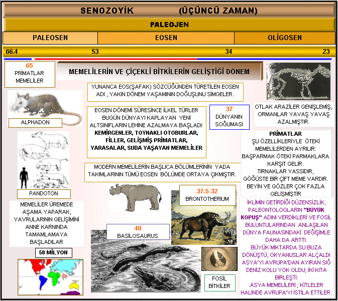 Senozoyik Senozoyik
