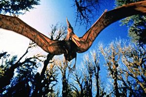 Uçan dinozorlar pterozorlar