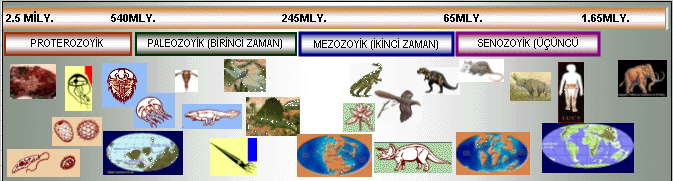 ZAMAN ÇETVELİ ZAMAN ÇETVELİ