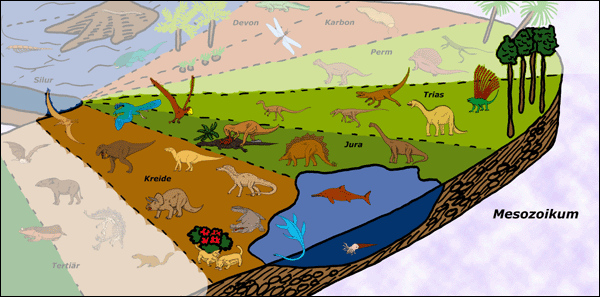zzki-Evolution-Struktur-Tiere-Mesozoikum-det-600