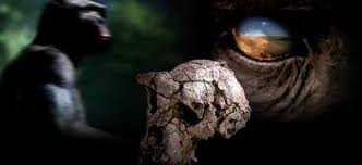 İnsanın Ataları ve İlk İnsan