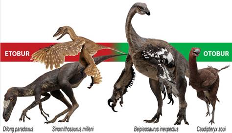 Bitki yiyen avcı dinozorlar