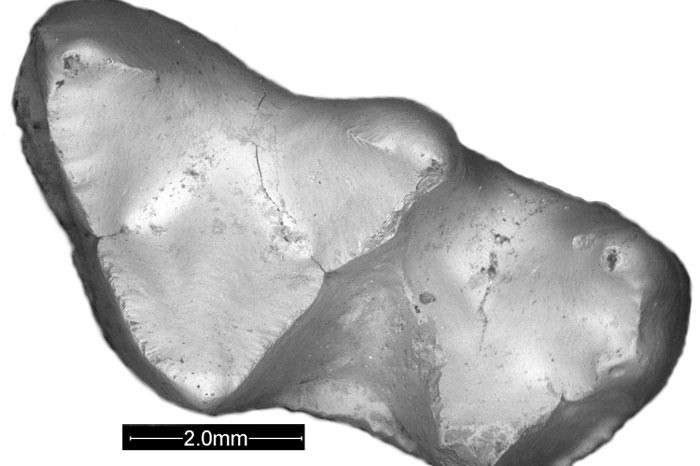 183986-35yiloncekianadolu1