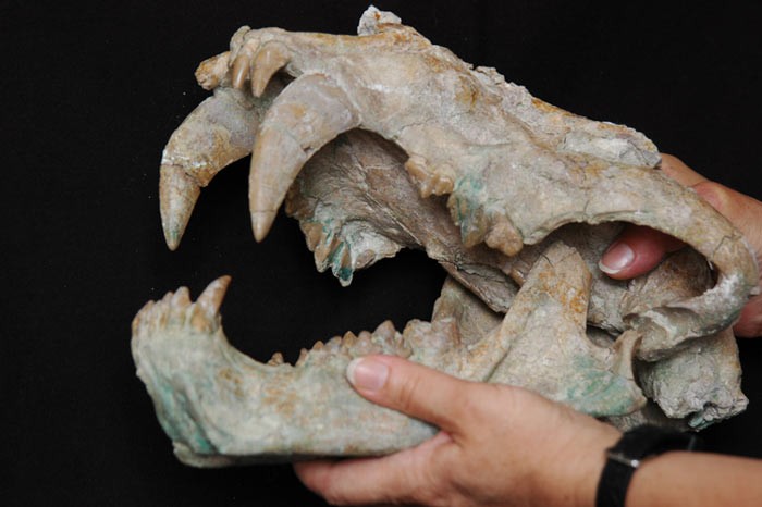 183987-35yiloncekianadolu2