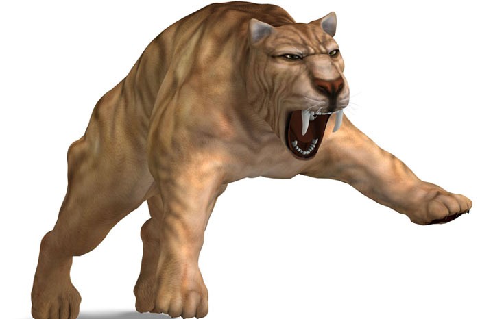 183988-35yiloncekianadolu3