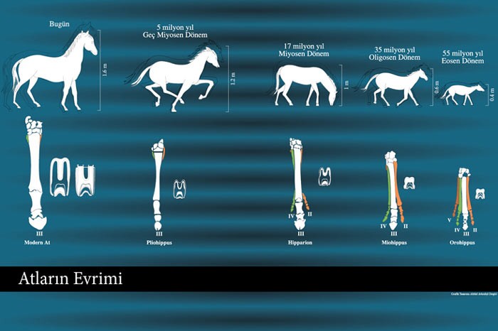 183989-35yiloncekianadolu4