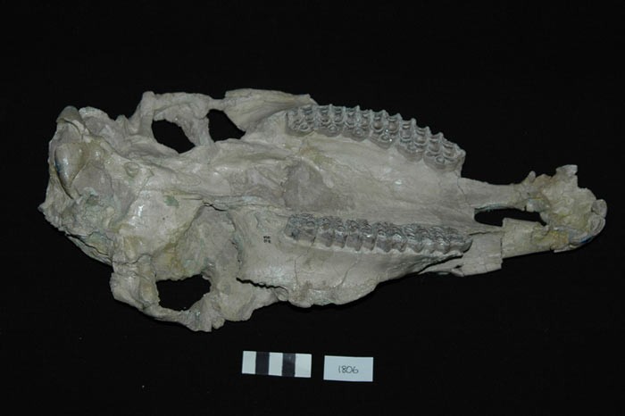 183990-35yiloncekianadolu5