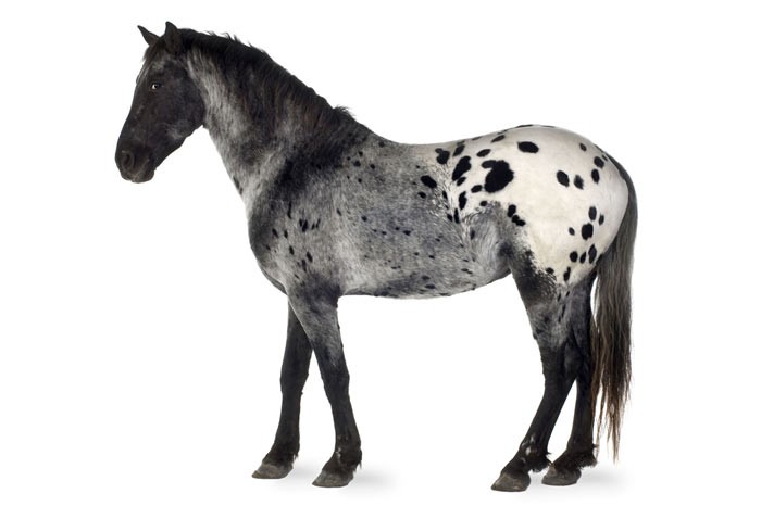 183991-35yiloncekianadolu6