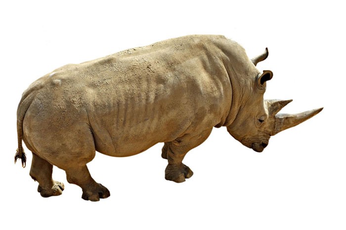 183993-35yiloncekianadolu8