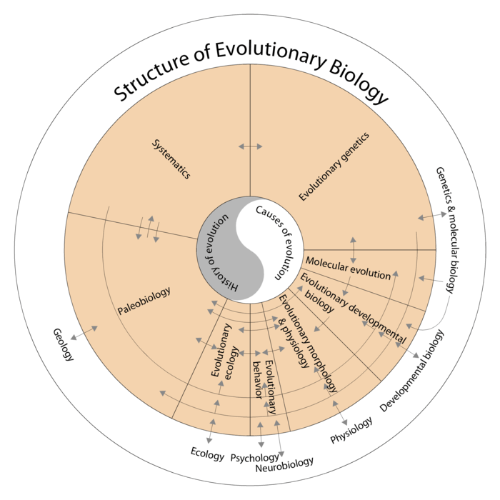 700px-Structure_of_Evolutionary_Biology