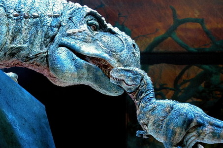 Dinozorlar da sıcakkanlıymış