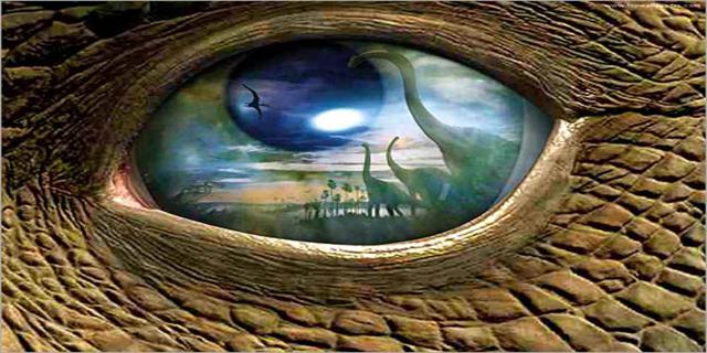 Yaşamın Kısa Bir Tarihi (Görselli Anlatım)