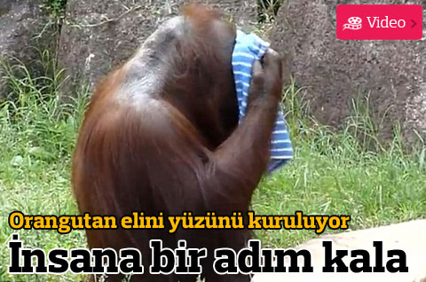 İnsana bir adım kala!