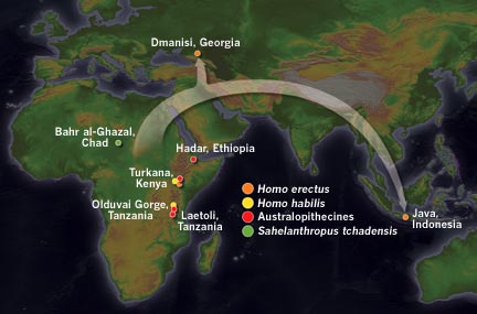 Gen haritasından göç yolları haritasına