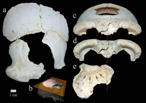 denizli-de-500-bin-yillik-homo-erectus-02