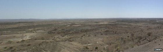 Yeni Ayak Fosili İnsan Evriminin Karmaşıklığını Gösterdi