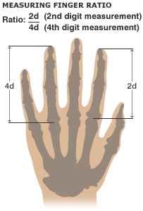 doc2-pdf-adobereader