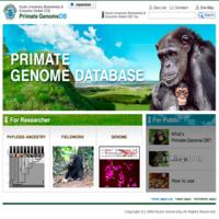 İnsan ve Şempanzenin Genetik Benzerliği ve Evrim Üzerine_200x200