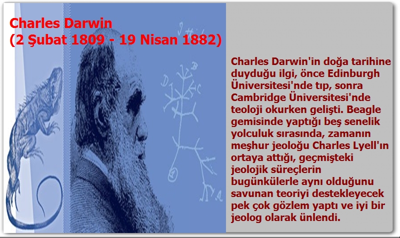 Darwin'in Dediği, Demediği