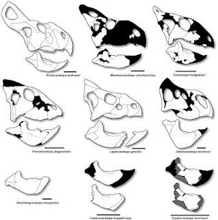 1-s2.0-S0195667111001960-gr5