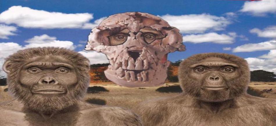 ardipithecusramidus_960x439