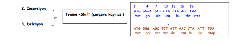 capture-20120410-012653