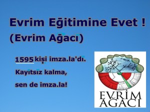 Evrim Eğitimine Evet! (Evrim Ağacı)