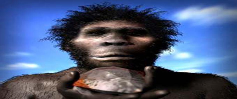 Key Events in the Human Evolution Timeline