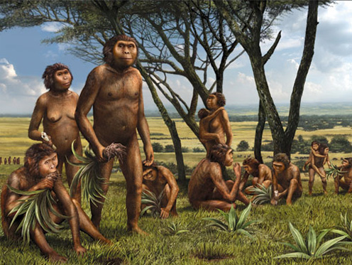 paranthropus-robustus-savanna-sakini
