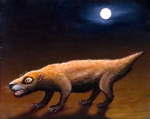 thrinaxodon-missing-link