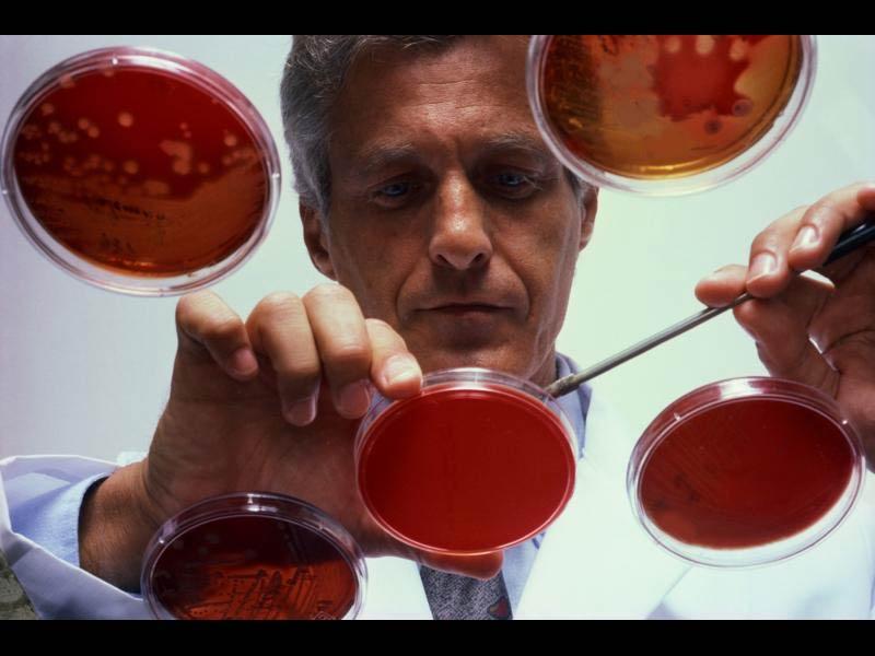 Evrimi Kabul Eden Bilim Adamlarının Listesi