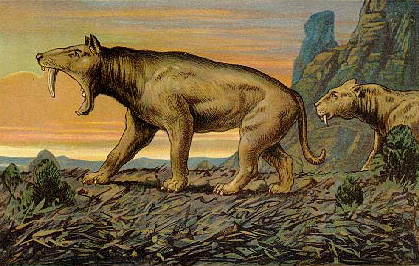 F_John_Series_2_Machairodus_card_17